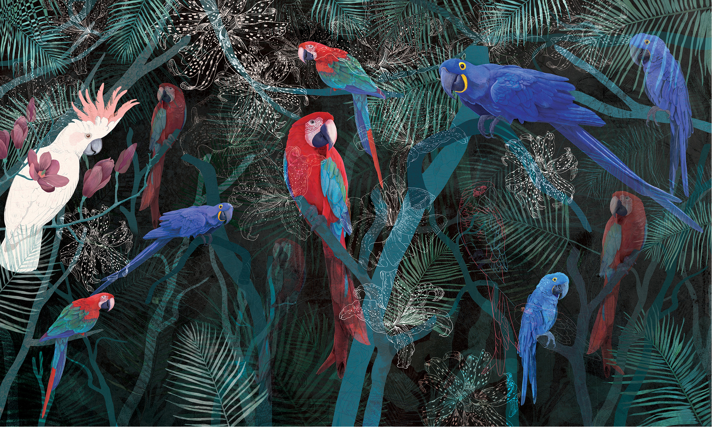 fototapeta kolorowe papugi, wesołe ptaki, tapeta tropikalna, ara, duża papuga