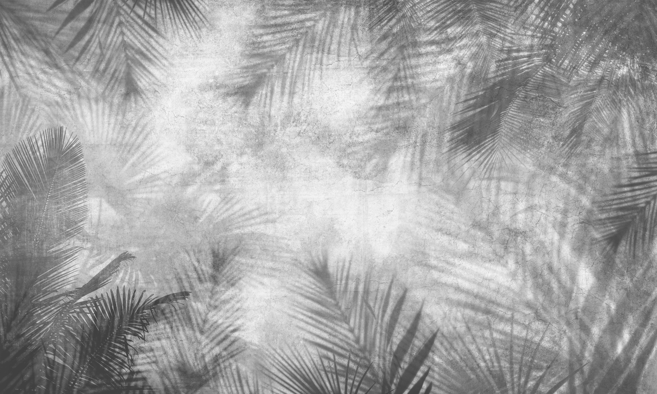 fototapeta do salonu, tapeta botaniczna, liście palmy