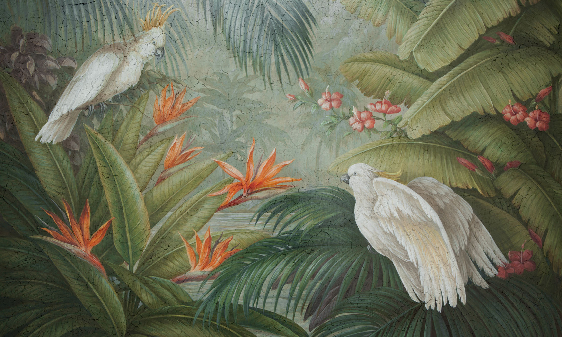 Fototapeta, tapeta do salonu, tapeta artystyczna, egzotyczne ptaki, papugi, kakadu, liście monstery 