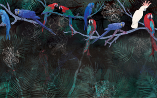 fototapeta kolorowe papugi, wesołe ptaki, tapeta tropikalna, ara, duża papuga