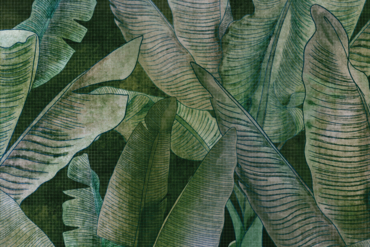 fototapeta do salonu, tropikalny wzór, liście bananowca, natura